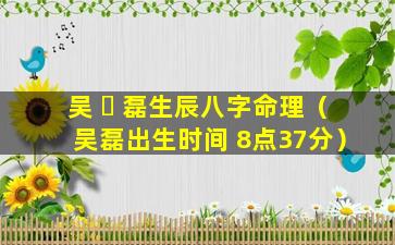 吴 ☘ 磊生辰八字命理（吴磊出生时间 8点37分）